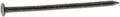 3 in. 10D Box Hot-Dipped Galvanized Steel Flat Head Nail Gray - 5 lbs - Pack of 6