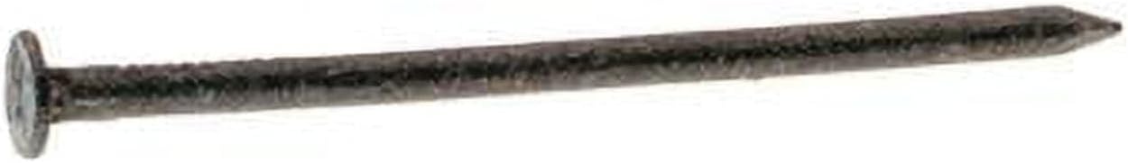 3 in. 10D Box Hot-Dipped Galvanized Steel Flat Head Nail Gray - 5 lbs - Pack of 6