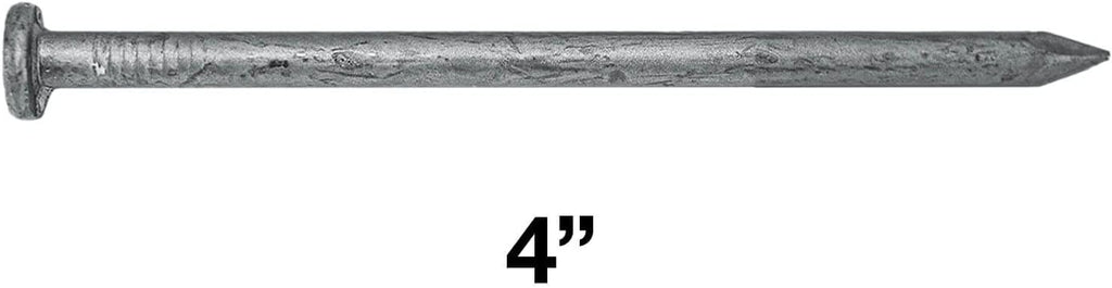 4' Exterior Hot Dipped Galvanized Common Framing Nail (20d) Full Box ~845 Nails