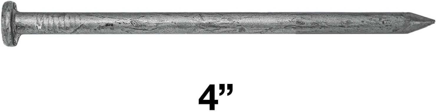 4' Exterior Hot Dipped Galvanized Common Framing Nail (20d) Full Box ~845 Nails