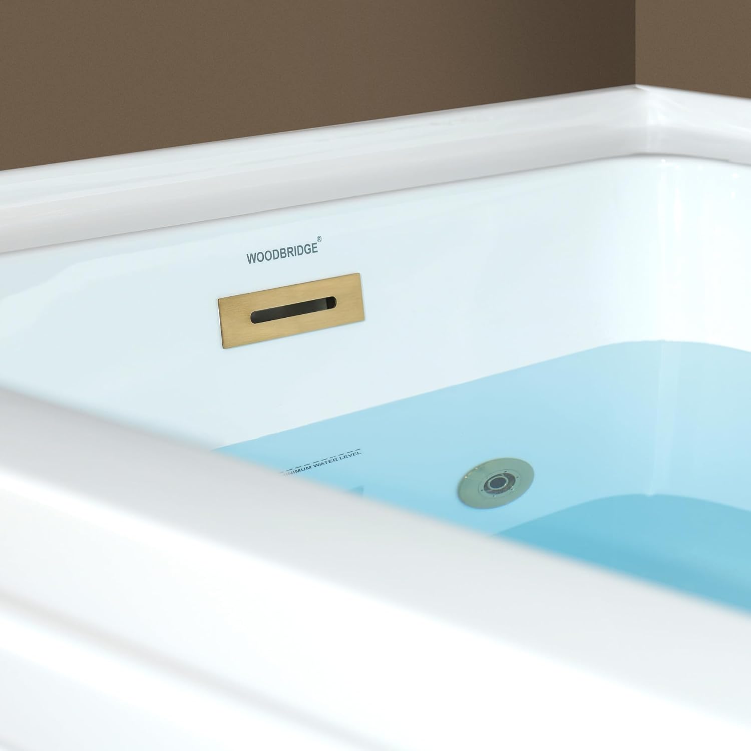 WOODBRIDGE 60' x 32' Alcove Acrylic Rectangular Whirlpool and Air Heated Tub in White with Left Drain, Brushed Gold Finish Trim and Drain Kit Included, DF606-L-BG03