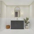 Ayna Decors Maya 48 Inch Single Vanity with Sink and Quartz Countertop in Charcoal Grey, Freestanding Bathroom Vanities with Soft Close Doors and Drawers - Brushed Gold Hardware