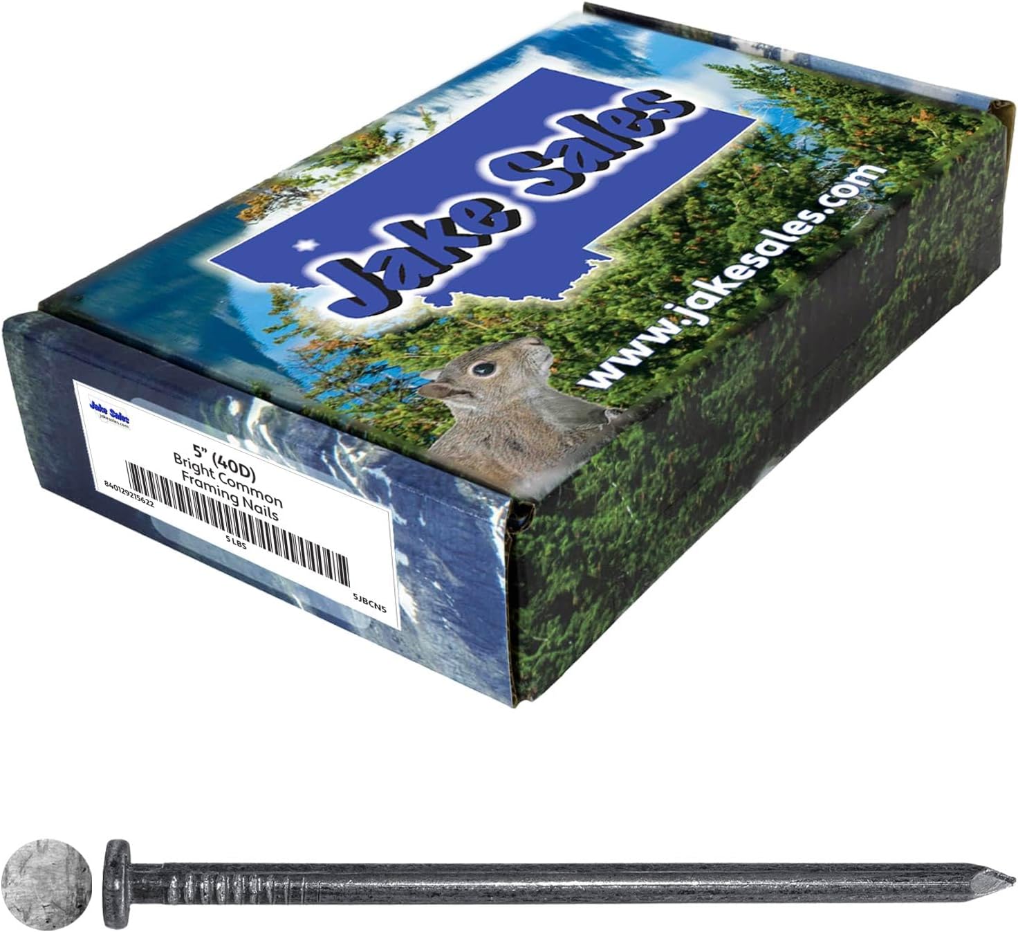 5' Bright Common Framing Nail (40D) - Heavy-Duty Fastener Designed for Interior Construction Applications - Uncoated Carbon Steel with Smooth Shank - Load Bearing - 9 X 5 POUND BOXES ~900 Nails